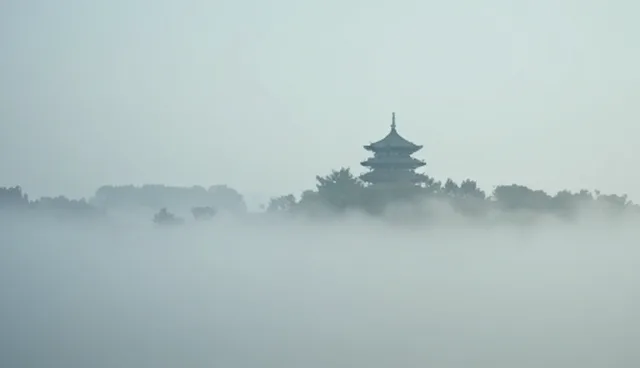 数字内容创作在行业变革中的选型与使用建议